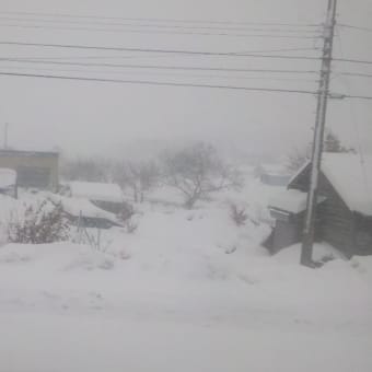 北海道なう