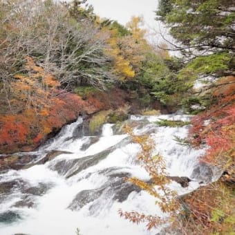 【日】紅葉の竜頭の滝