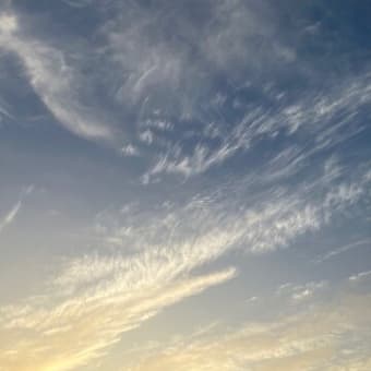 朝陽の雲　幾分凌ぎやすくなって