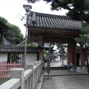 藤井寺でランチ