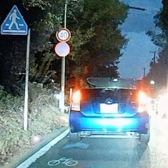 のら君もわたる