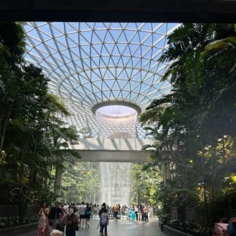 シンガポール3日め① チャンギ空港・ジュエルの滝に感動！