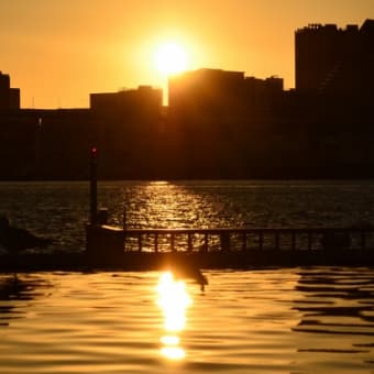 晴海ふ頭の夕景