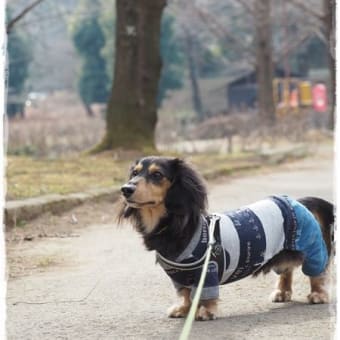 １月２９日～守谷四季の里公園～