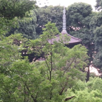 2017年6月28日　水曜日　「椿山荘」③
