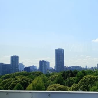 東京の上野をフラフラしてきました