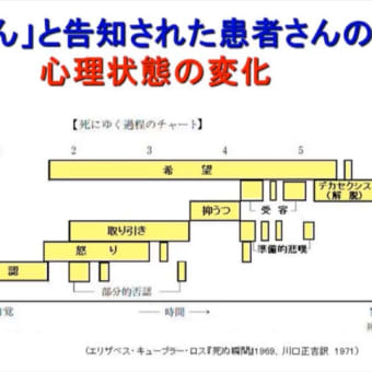 ゲノムと２つの奇跡