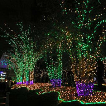 １２月はあちこちでイルミネーション　３