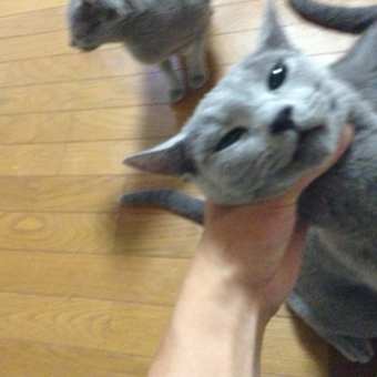 おっさんと、らむちゃん