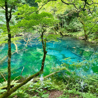青森の旅