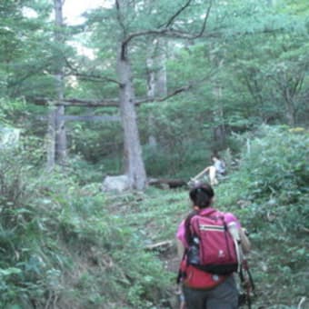 浅間山頂上と外輪山の”雄大な眺望”感激しました！