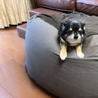 ぎふ清流里山公園へ　番外編