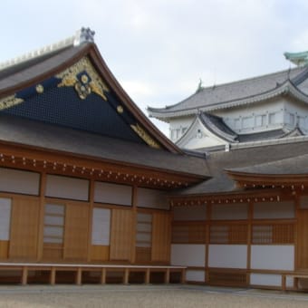          名古屋城で、お花見