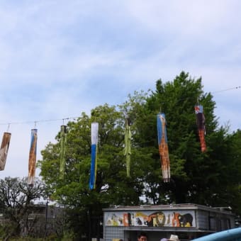 野毛山動物園へ