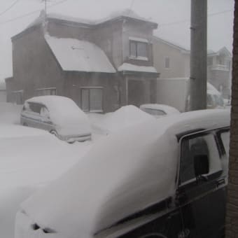 週末の吹雪