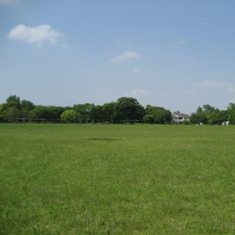 近所の公園