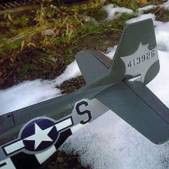P51D モデルメモリミスで没す！