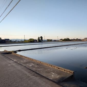 わが家周辺の風景☀
