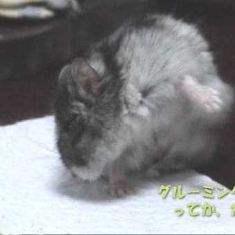 「グルーミングがうまくできずに」って？