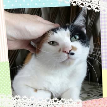 毎日のんびり