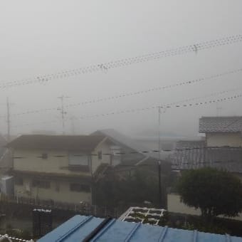 濃霧の朝　