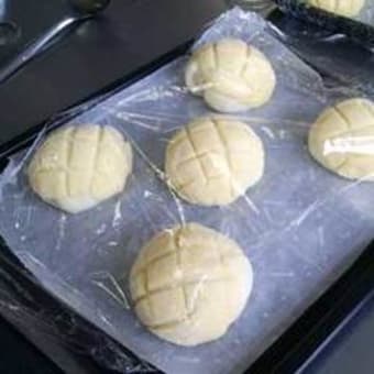 ６月２０日（土）土曜講座