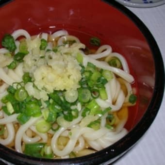 今月は　”がもう”のうどん