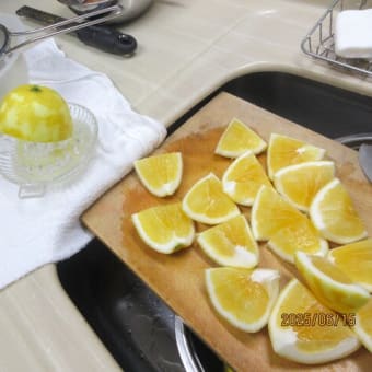 今年も「レモンカード」作りました。🍋
