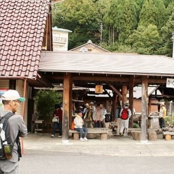 「秋の気配　ぐるっと琵琶湖一周ウオーク⑩」　2010年11月2日(土)　晴