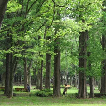 2012.05.06　洞峰公園（Powershot SX130IS)