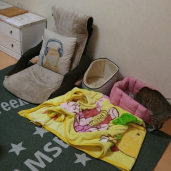 可愛いかまくら