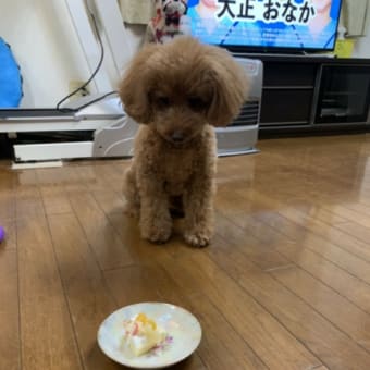 お誕生日