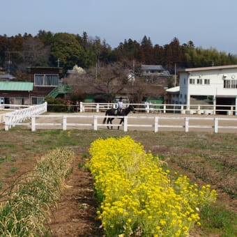 円良田湖から陣見山、間瀬峠を経て長瀞へ