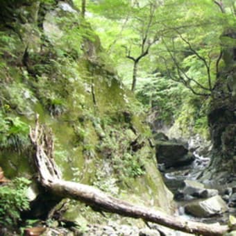 御来光の滝・石鎚山