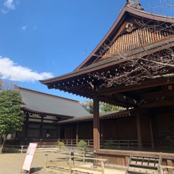 まったりデートにぴったり❤️〜靖国神社〜