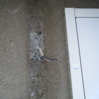 千葉県八千代市　アパート電灯交換