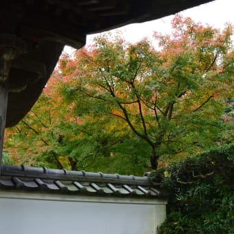 2016/11 晩秋の古都鎌倉を歩く（その3）　～長寿寺から建長寺～
