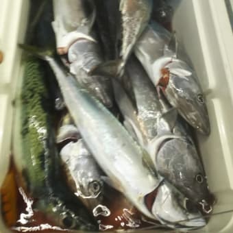 魚釣り