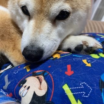 久々のお風呂