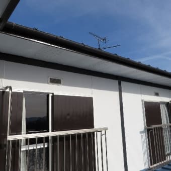 あれから50年 家屋の補修相次ぐ
