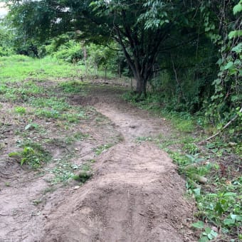 山は順調に造成が進んでいます