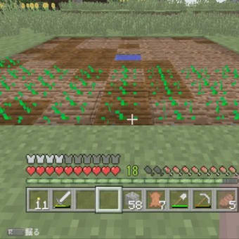 (マイクラ)畑を作って安定した食料を取る。
