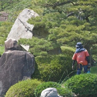 そして、今週も地元エリアでウロウロドライブ、、、その１（計５９枚）