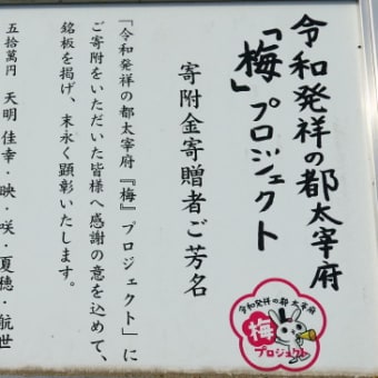 長岡外史関係文書 回顧録編 日本陸軍参謀本部日露戦争日清戦争