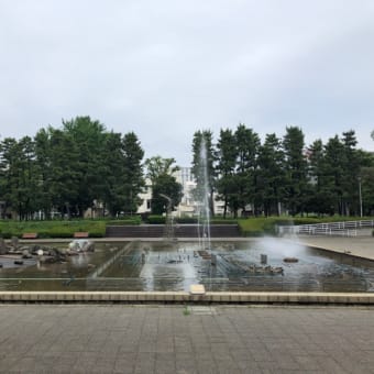 県展始まりました