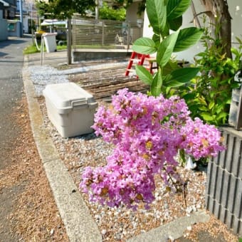 今日もお得なセール情報