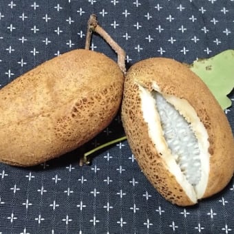 秋ですね🎵