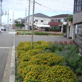 上屋敷町内会の花壇