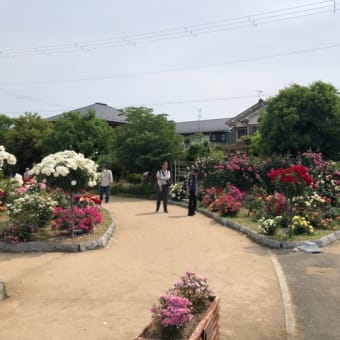 今日いち-2025年5月23日