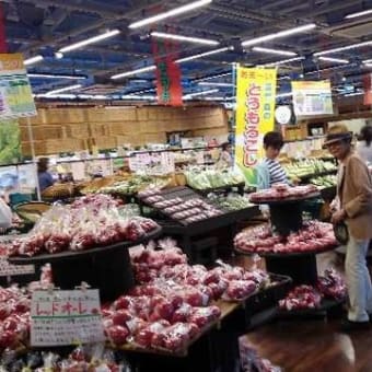 東海道五十三次どまん中茶屋・袋井宿（その一）